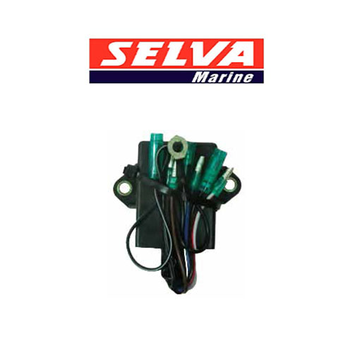 Selva Deniz Motoru Beyin CDI